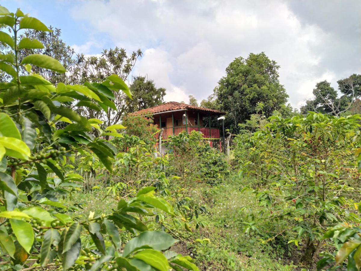 La Acuarela, Posada de La Monita Pereira Exterior foto